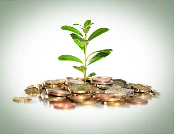 Investitsiya o‘zi nima?